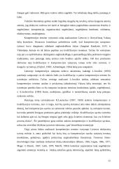 Vadovavimo raiška gimnazijose 12 puslapis