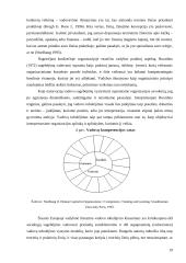 Vadovavimo raiška gimnazijose 19 puslapis