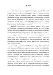 Vadovavimo raiška gimnazijose 3 puslapis