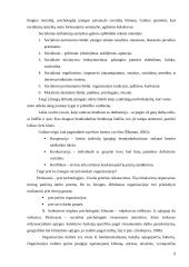 Vadovavimo raiška gimnazijose 9 puslapis