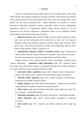 Natūralios kalbos technologijos 2 puslapis
