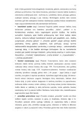 Natūralios kalbos technologijos 11 puslapis