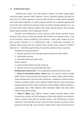 Natūralios kalbos technologijos 13 puslapis