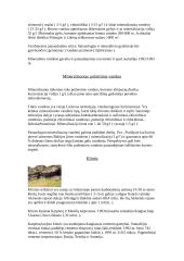 Naudingosios Lietuvos iškasenos 2 puslapis