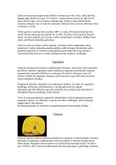 Naudingosios Lietuvos iškasenos 5 puslapis