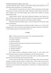 Vaikiškų prekių parduotuvės steigimas Utenos mieste: N. Gaincevaitės IĮ "Mažylis" 12 puslapis