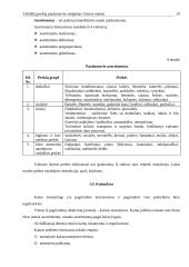 Vaikiškų prekių parduotuvės steigimas Utenos mieste: N. Gaincevaitės IĮ "Mažylis" 13 puslapis