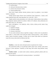 Vaikiškų prekių parduotuvės steigimas Utenos mieste: N. Gaincevaitės IĮ "Mažylis" 14 puslapis