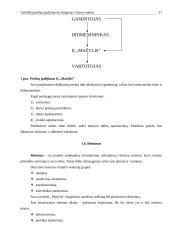 Vaikiškų prekių parduotuvės steigimas Utenos mieste: N. Gaincevaitės IĮ "Mažylis" 15 puslapis