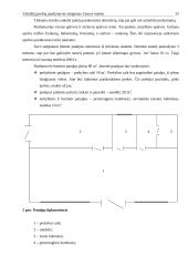 Vaikiškų prekių parduotuvės steigimas Utenos mieste: N. Gaincevaitės IĮ "Mažylis" 19 puslapis