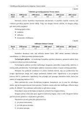 Vaikiškų prekių parduotuvės steigimas Utenos mieste: N. Gaincevaitės IĮ "Mažylis" 5 puslapis