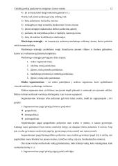 Vaikiškų prekių parduotuvės steigimas Utenos mieste: N. Gaincevaitės IĮ "Mažylis" 6 puslapis