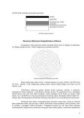 Naujausios informacijos laikmenos. Naujausių informacijos laikmenų talpa 6 puslapis