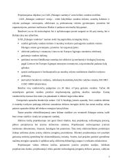 Vandens siurblinės elektrifikavimas 5 puslapis