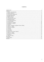 Naujos maisto įmonės verslo plano kūrimas 2 puslapis