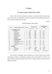 Naujos maisto įmonės verslo plano kūrimas 12 puslapis