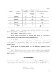 Naujos maisto įmonės verslo plano kūrimas 13 puslapis