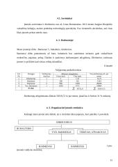 Naujos maisto įmonės verslo plano kūrimas 15 puslapis