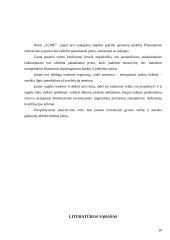 Naujos maisto įmonės verslo plano kūrimas 20 puslapis