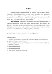 Naujos maisto įmonės verslo plano kūrimas 4 puslapis