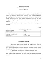 Naujos maisto įmonės verslo plano kūrimas 5 puslapis