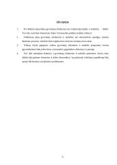 Nedarbo problema ir jos sprendimas 11 puslapis