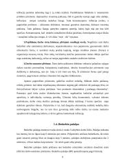 Nedarbo problema ir jos sprendimas 6 puslapis