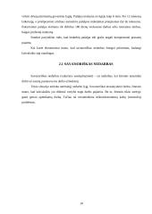 Nedarbo problema ir jos sprendimas 10 puslapis