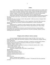 Nelegalaus darbo samprata, turinys. Atsakomybė už nelegalų darbą, ją įgyvendinančios institucijos 2 puslapis