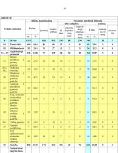 Nelegalaus darbo samprata, turinys. Atsakomybė už nelegalų darbą, ją įgyvendinančios institucijos 9 puslapis