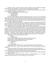 Nepriklausomas ir vidaus auditas 4 puslapis