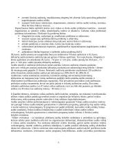 Nepriklausomas ir vidaus auditas 7 puslapis