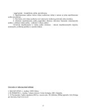 Nepriklausomas ir vidaus auditas 9 puslapis