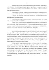 Viešieji ryšiai Alytaus  miesto  organizacijų  kontekste 18 puslapis