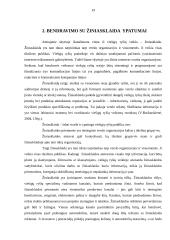 Viešieji ryšiai Alytaus  miesto  organizacijų  kontekste 19 puslapis