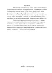 Nepriklausomos Lietuvos sienos ir jų apsauga 2 puslapis