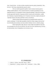 Nepriklausomos Lietuvos sienos ir jų apsauga 7 puslapis