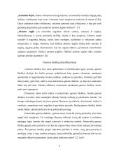 Nereprodukuojamų gamtinių išteklių ribotumo problemos 8 puslapis