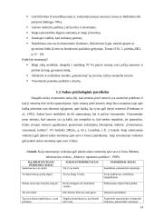 Vyrų požiūris į smurtą šeimoje patyrusias moteris 14 puslapis