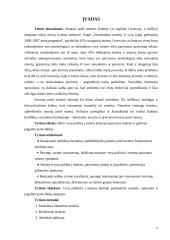 Vyrų požiūris į smurtą šeimoje patyrusias moteris 5 puslapis