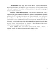 Vyrų požiūris į smurtą šeimoje patyrusias moteris 6 puslapis