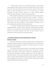 Netradicinis vaiko ugdymo metodas. Valdorfo pedagogika 6 puslapis