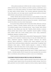 Netradicinis vaiko ugdymo metodas. Valdorfo pedagogika 7 puslapis