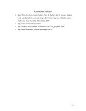 Nežemiškų civilizacijų paieška 14 puslapis