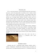 Nežemiškų civilizacijų paieška 4 puslapis