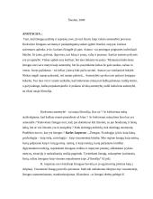 Kiekviena asmenybė – tai nauja filosofija 2 puslapis