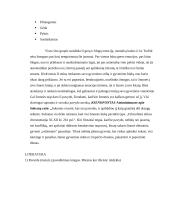 Kiekviena asmenybė – tai nauja filosofija 5 puslapis