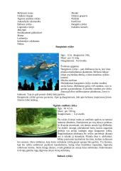 Nykstantys pasaulio vandens gyvūnai 3 puslapis