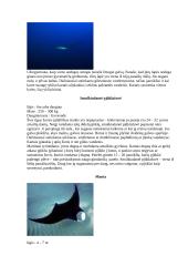 Nykstantys pasaulio vandens gyvūnai 5 puslapis