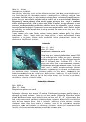 Nykstantys pasaulio vandens gyvūnai 6 puslapis